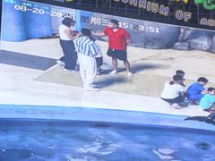 -泉城欧乐堡海洋极地世界