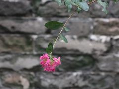 -天安门城楼