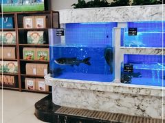 水产区-香山湖渔家大院