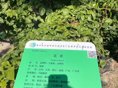 -广东中医药博物馆