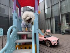 -百好乐宠物友好餐厅(朝外大街店)