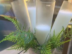 -探窝·竹笙椰子鸡(杨箕店)