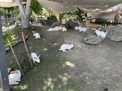 -洪湖家庭农场·团建·露营·会议