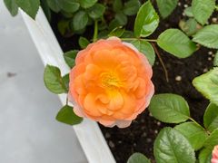 -侯家庄私房菜馆观景餐厅