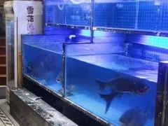 -姜君·千岛湖鱼头馆(浦东大道店)