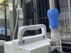 -达爱动物医院·犬猫分区·CT·复杂眼科(远洋山水分院)