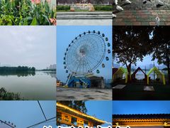 -飞来湖湿地公园