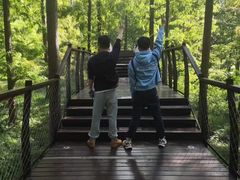 -黄海国家森林公园