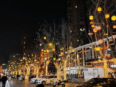 -沙胆彪炭炉牛杂煲(成都玉林店)
