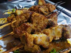 -晓靖轩烧烤(沙河风情店)