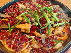 -老板恋上鱼(恒隆广场店)
