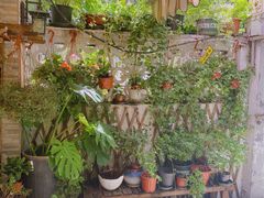 -隅cafe(傅厚岗店)