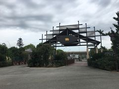 -荷塘月色湿地公园·向阳花洲