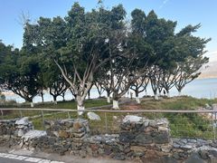 -西昌邛海湿地