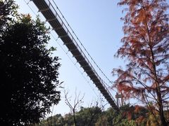 iphone_upload_pic-东部华侨城