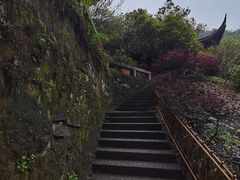 -韬光茶庵