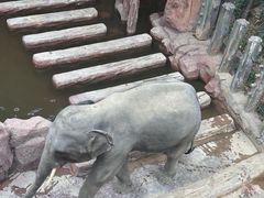-长鹿旅游休博园