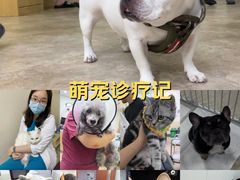 -美联众合动物医院·24h转诊中心
