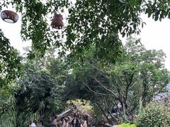 -悦哉·派对·草坪婚礼·围炉煮茶(三圣乡店)
