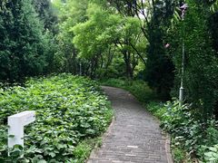 -望湖公园