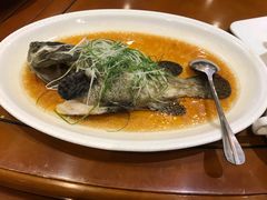 -厦门渔港(成山路店)