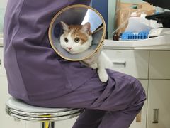 -萌兽医馆·眼科·异宠专科(三里屯店)