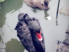 -长兴太湖图影湿地文化园