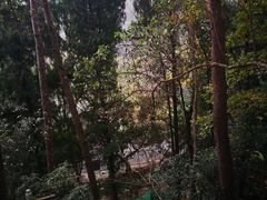 -云起草堂(白云山森林公园店)