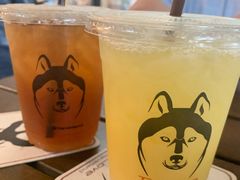 -TrueLove @ Neverland (Husky Cafe)