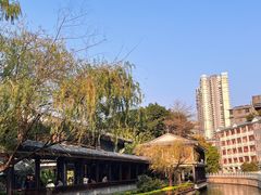 -荔湾湖公园
