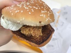 -华莱士炸鸡汉堡(崇文门搜秀城店)