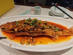 -新侨小馆(东直门北小街店)
