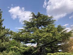 -国家植物园南园