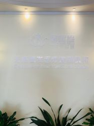 -碧莲盛·不剃发植发