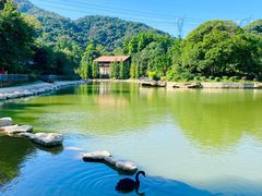 -广州市帽峰山景区