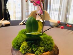 -许家菜(望江店)