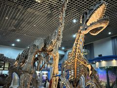 -国家自然博物馆