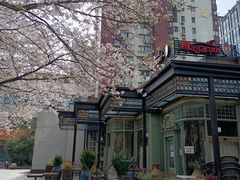 -玛格萝妮比萨屋(四平店)