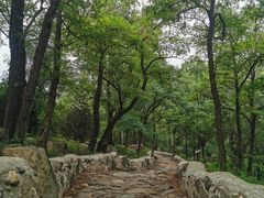 -阳台山自然风景区