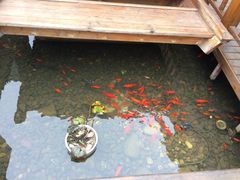 -云幽谷旅游区