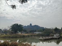 -王借岗森林公园