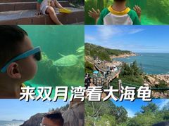 -广东惠东海龟国家级自然保护区