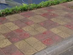 -闽西职业技术学院(天马校区)
