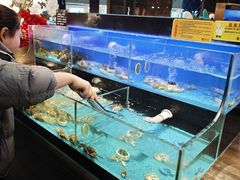-苏格里岛自助烤肉海鲜火锅(成都金牛万达店)