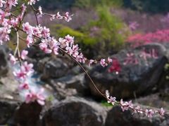 -高岚大峡谷旅游度假区
