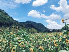 -贵阳市花溪国家城市湿地公园