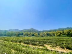 -泰山风景名胜区-普照寺