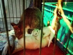 -赢吧Bliss音乐酒吧