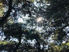 -阳台山自然风景区