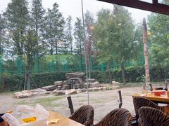 -上海野生动物园老虎餐厅